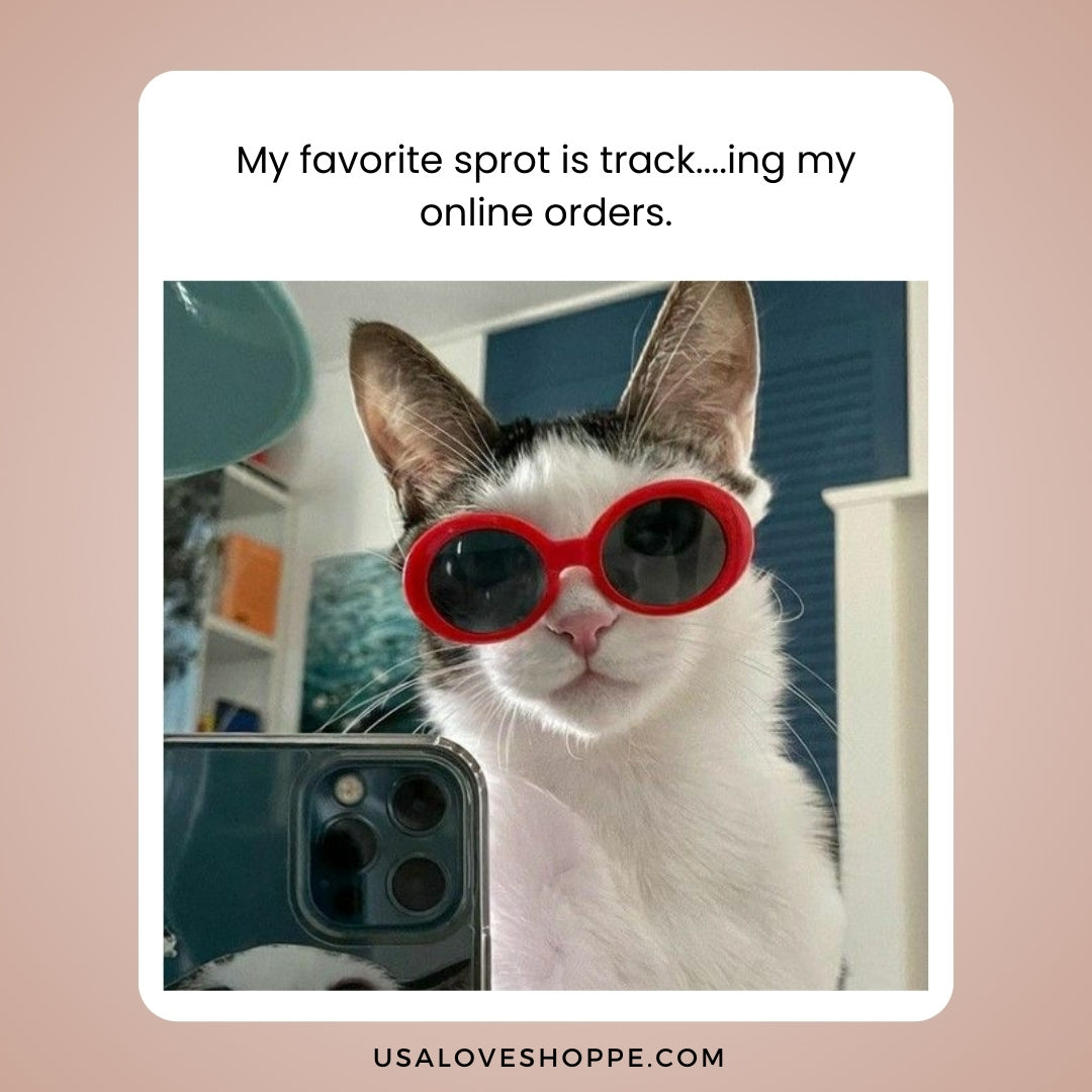 Keeping Track of Your Online Orders: A Must in Today's Shopping Era