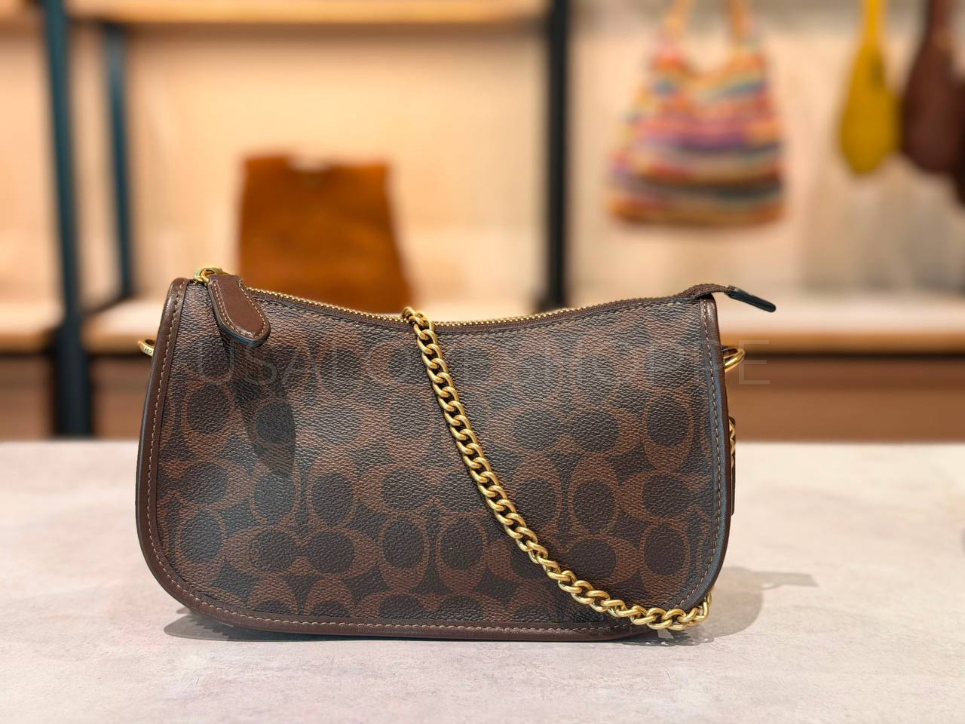 Coach Waverly Bag in Signature Canvas: The Stylish Everyday Bag Malaysian Shoppers Love