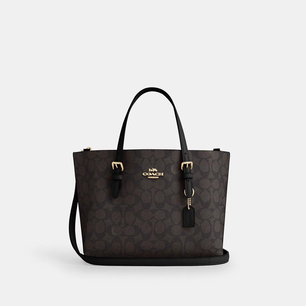 Coach mollie 2024 tote