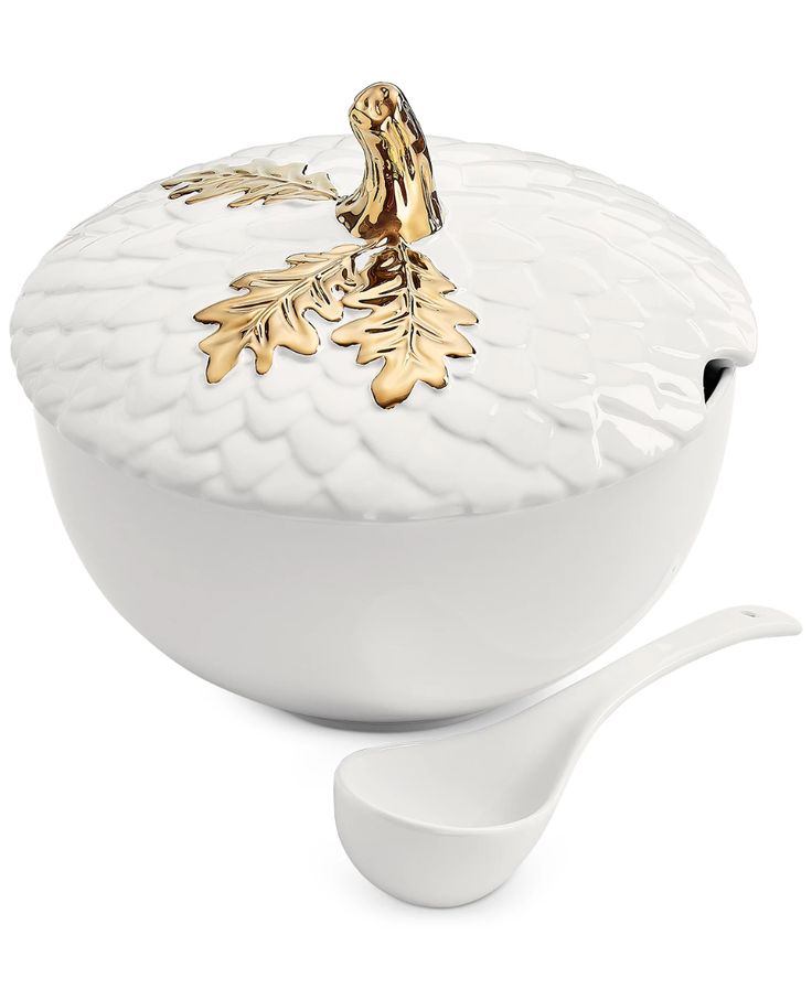 Martha Stewart Harvest Acorn Soup Turren with Laddle