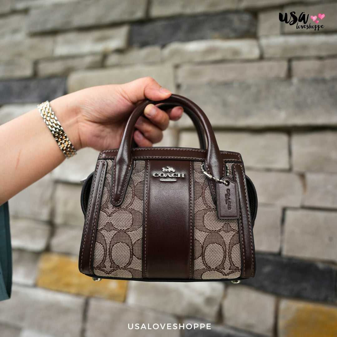 Discover the Chic and Affordable Luxury of the Coach Andrea Mini Carryall!