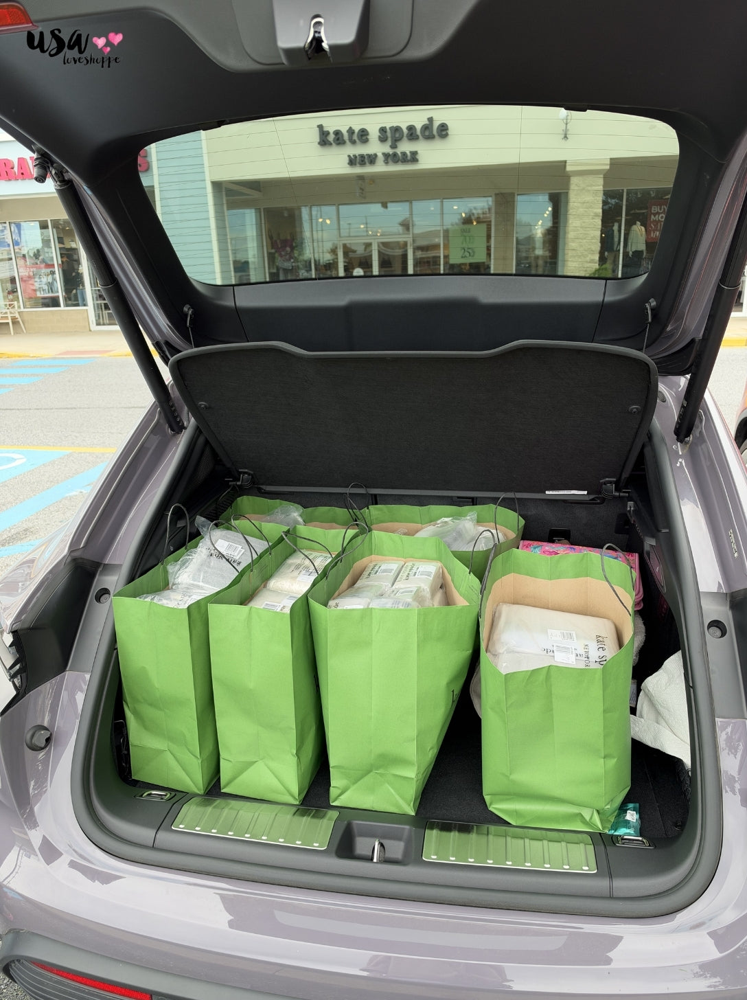 Shopping Is My Job! A Day in the Life of a Malaysian Personal Shopper in the USA