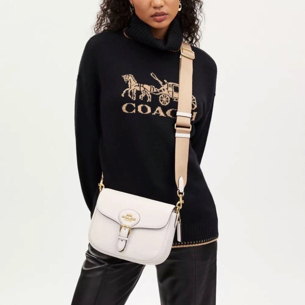 Everything You Need to Know About Coach Amelia Saddle Bag