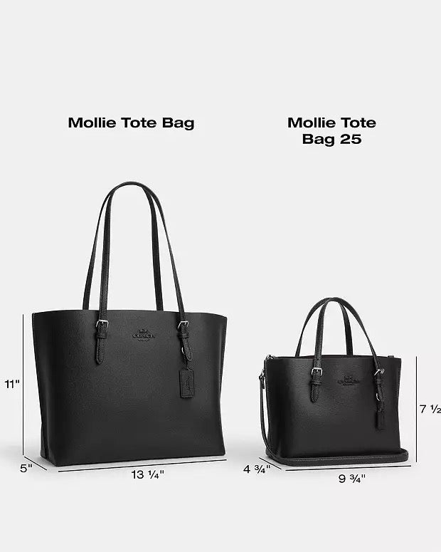 [INCOMING ETA 30 DAYS] COACH Mollie Tote Bag 25 in Dark Stone (CV966)