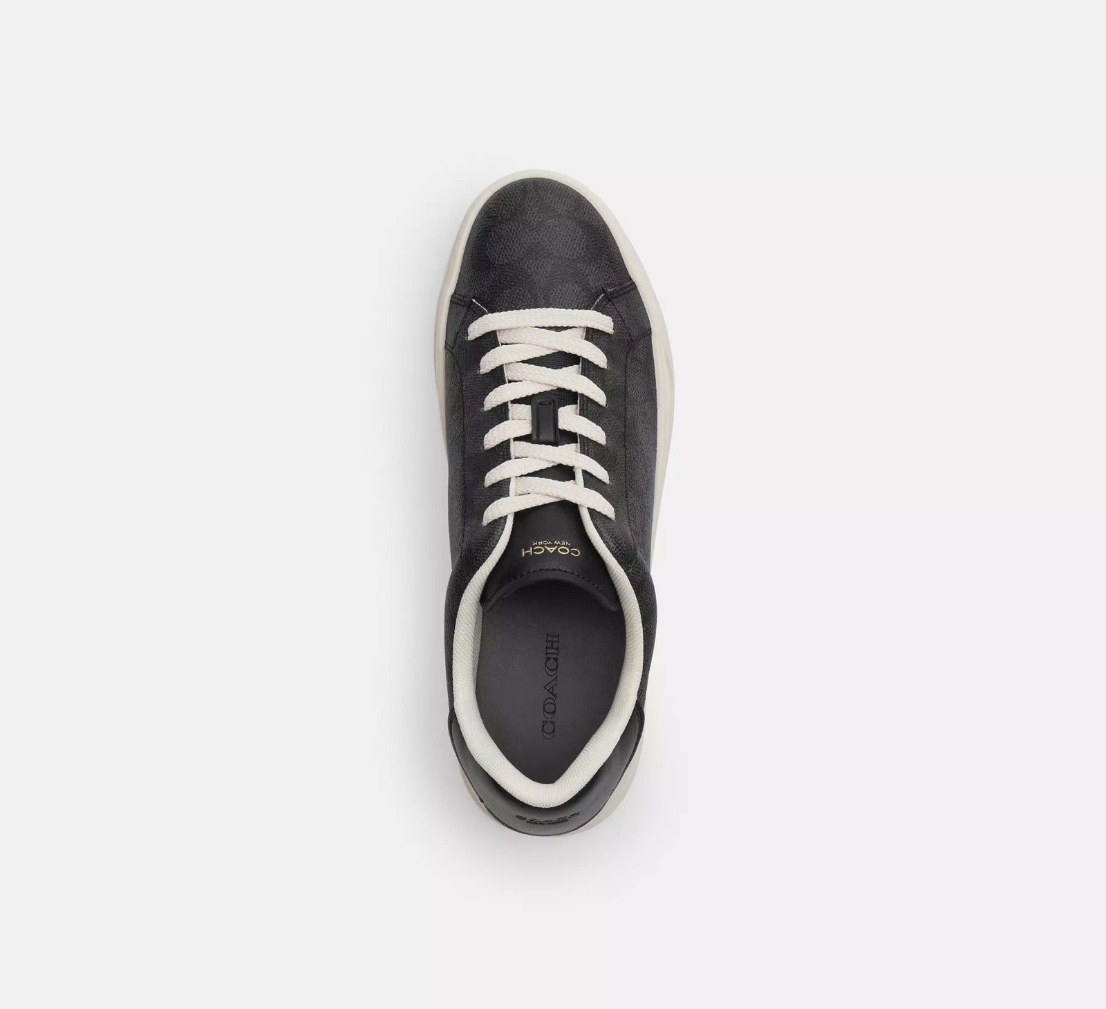 [INCOMING ETA 30 DAYS] COACH W High Line Sneaker In Signature Canvas in Canvas/Charcoal/Black (FK)(CW970)
