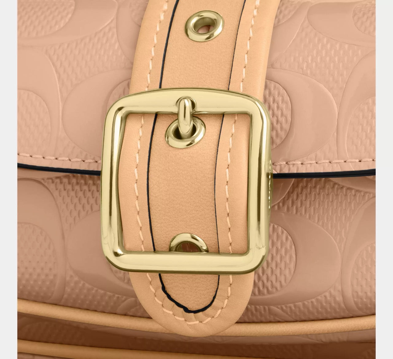 [WEB EXCLUSIVE][READY STOCK MY] Coach Ashton Mini Shoulder Bag In Signature Leather in Faded Blush (CEN11)