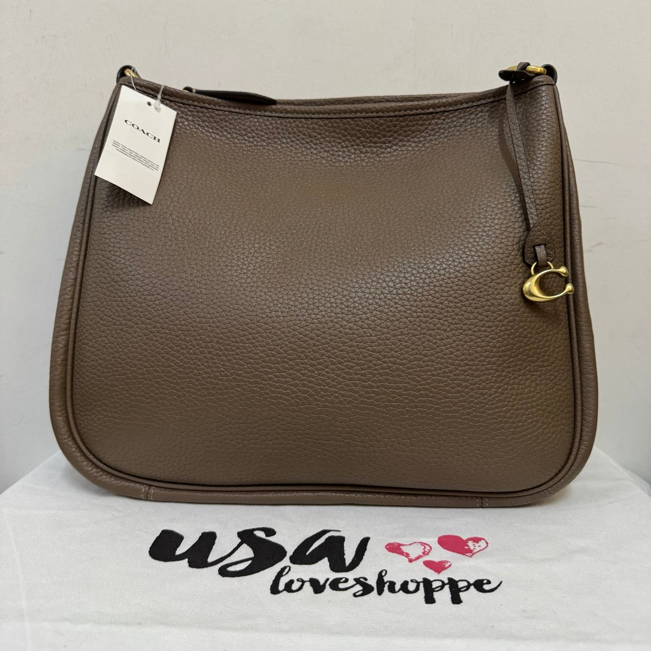 [AUCTION][READY STOCK MY] COACH Cary Shoulder Bag in Dark Stone (CC435)