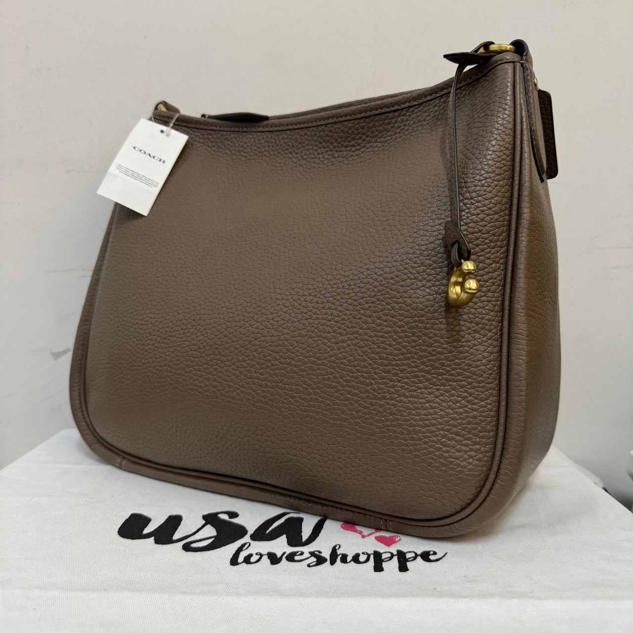 [AUCTION][READY STOCK MY] COACH Cary Shoulder Bag in Dark Stone (CC435)