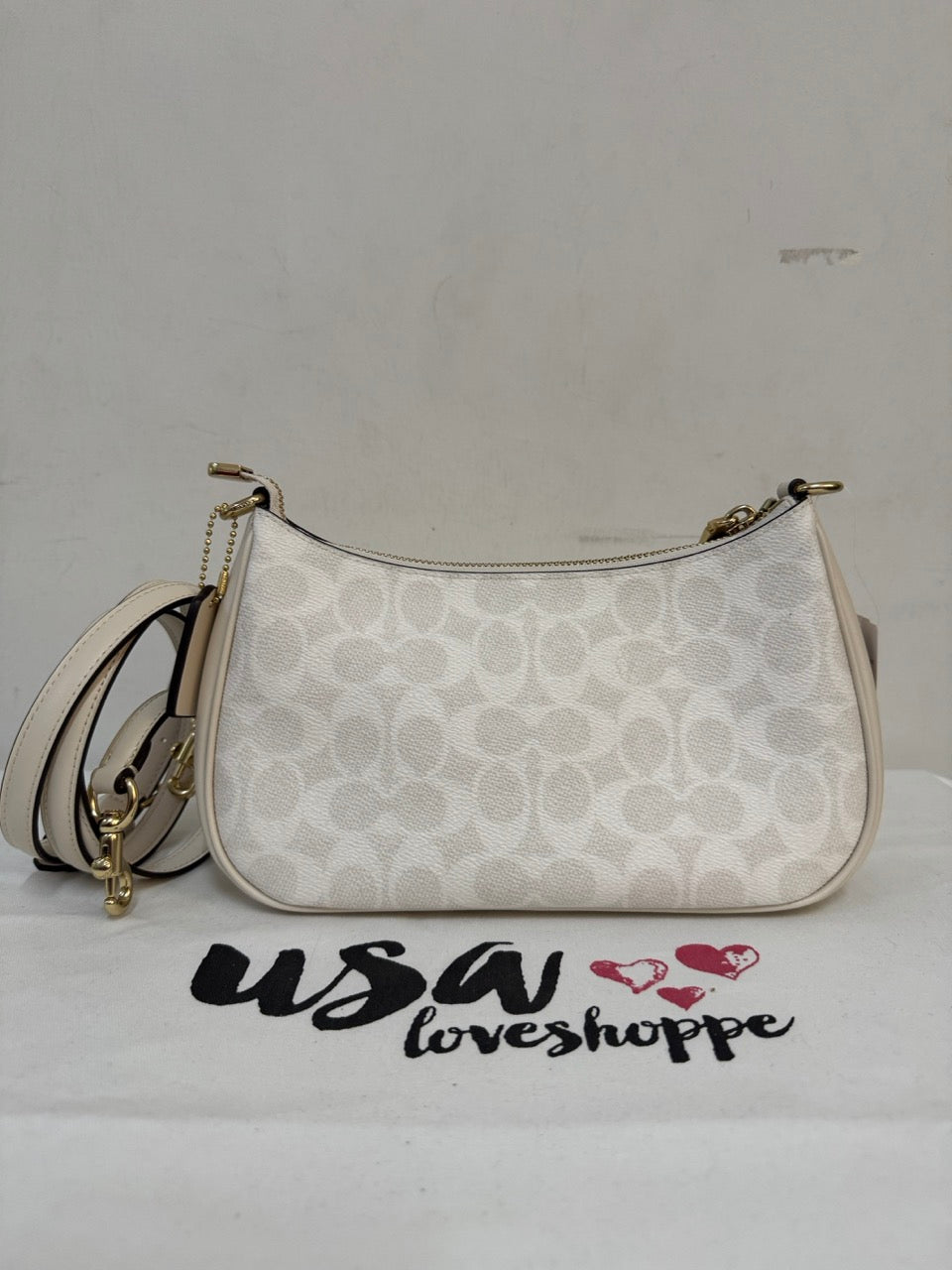 [AUCTION][READY STOCK MY] COACH Teri Shoulder Bag In Signature Canvas White/Chalk (CV933)