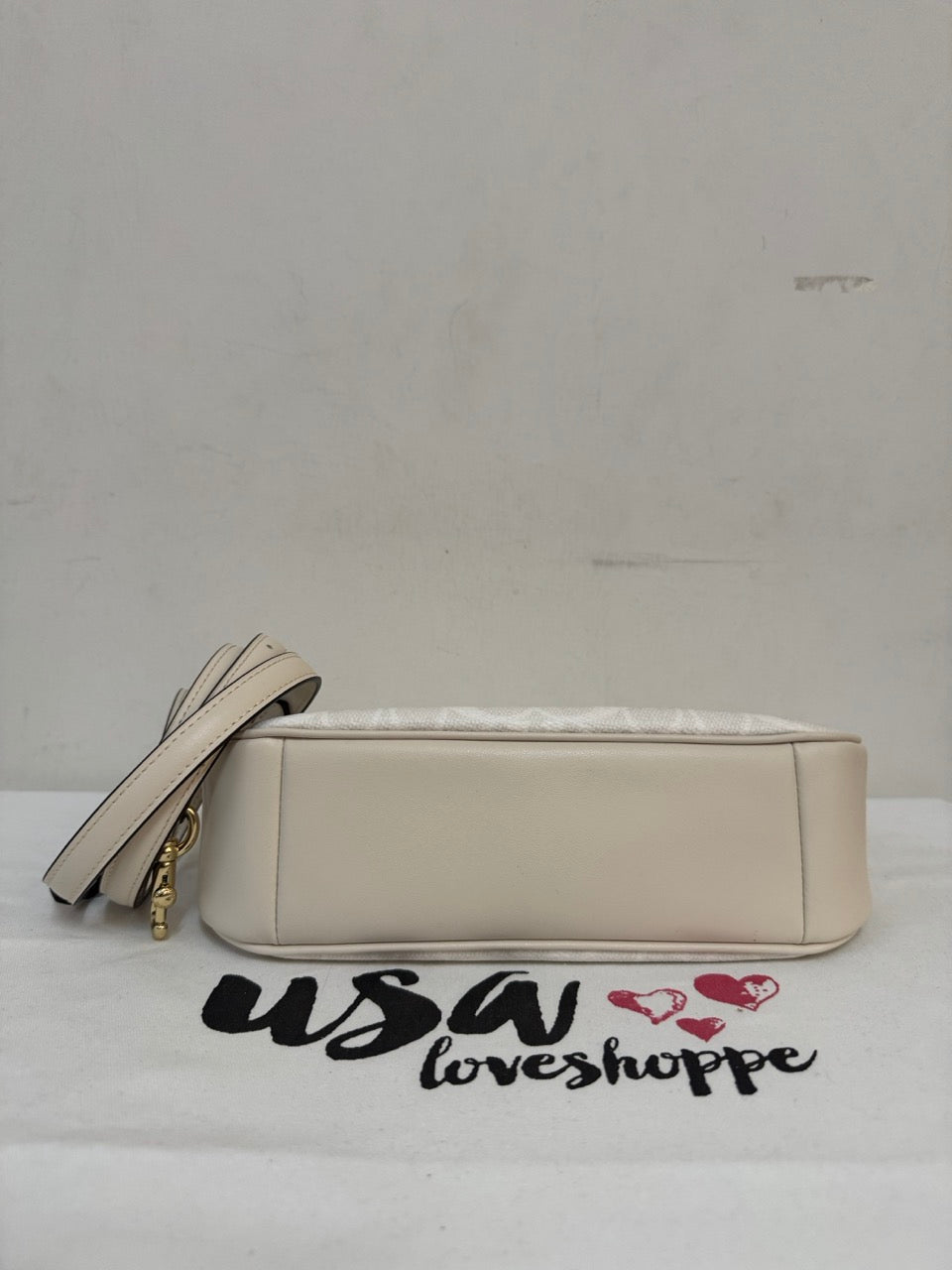 [AUCTION][READY STOCK MY] COACH Teri Shoulder Bag In Signature Canvas White/Chalk (CV933)