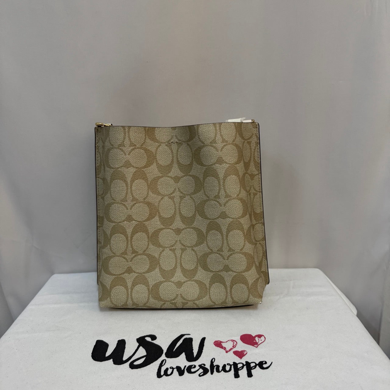 [AUCTION][READY STOCK MY] COACH Mollie Bucket Bag In Signature Canvas in Light Khaki/Chalk (CA561)