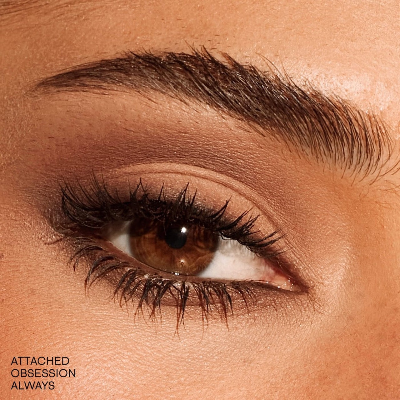 [INCOMING ETA 30 DAYS] Patrick Ta Major Dimension Essential Artistry Edit Eyeshadow Palette