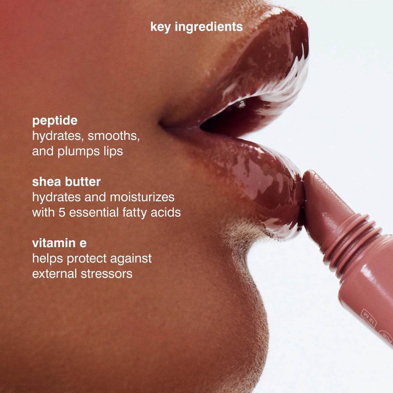 [INCOMING ETA 30 DAYS] Rhode Peptide Lip Tint Nourishing Glaze in Toast
