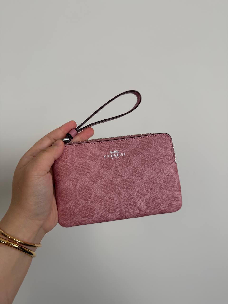 [30 DAYS] Zip Wristlet